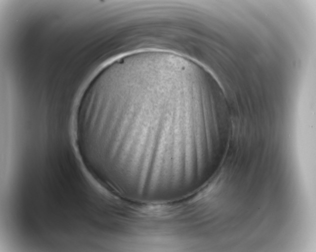 X0000088421531200706051202