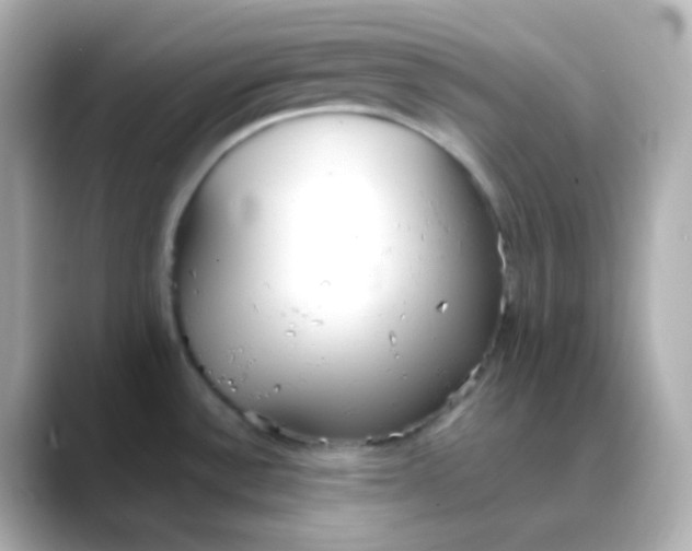 X0000088421532200706051202