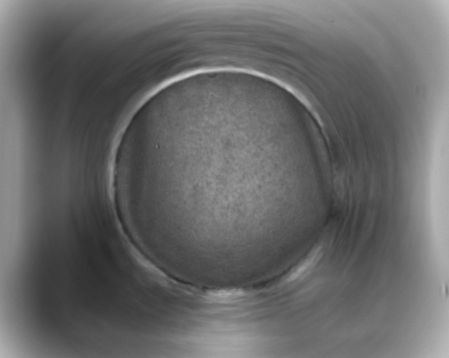 X0000088421535200706051202