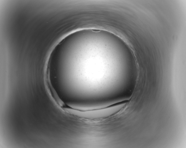 X0000088421536200706051202