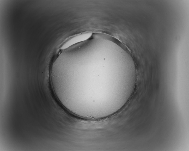 X0000088420005200706121441