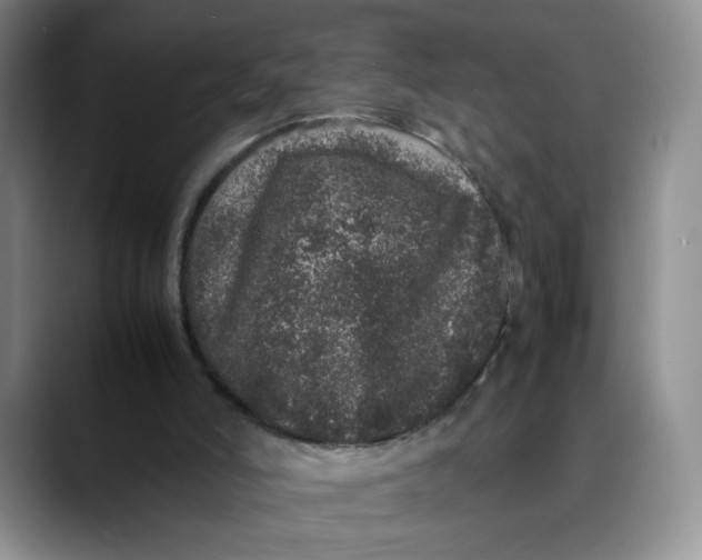 X0000088420006200706121441