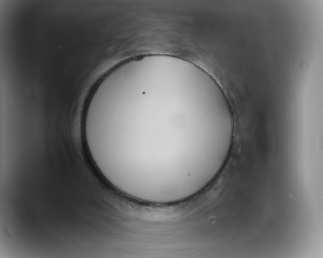 X0000088420008200706121441
