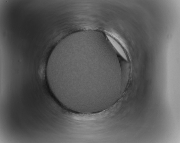 X0000088420009200706121441
