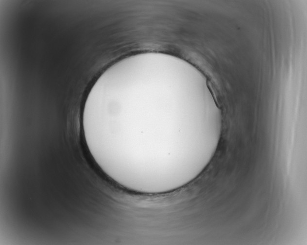 X0000088420011200706121441