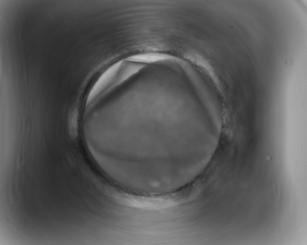X0000088420012200706121441