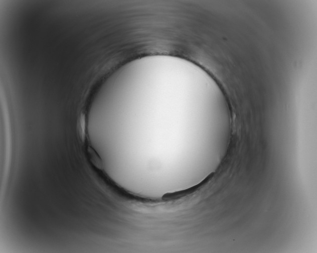 X0000088420013200706121441