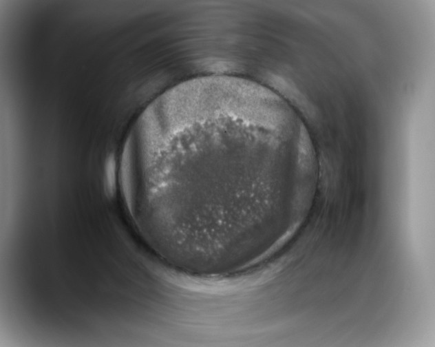 X0000088420014200706121441