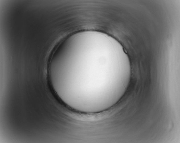 X0000088420015200706121441