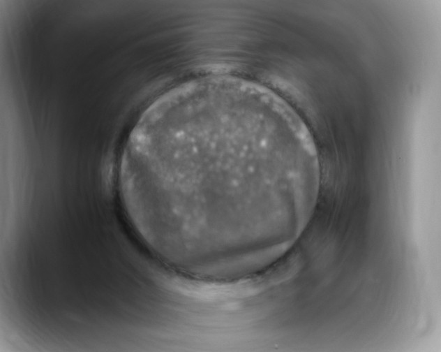 X0000088420016200706121441