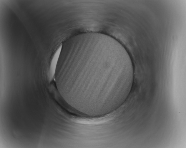 X0000088420017200706121441