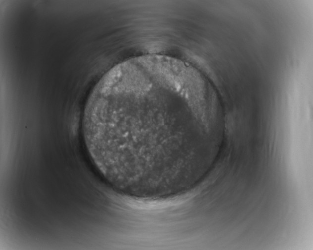 X0000088420018200706121441