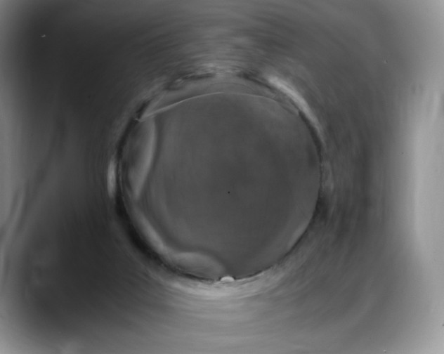 X0000088420019200706121441