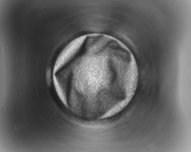 X0000088420020200706121441