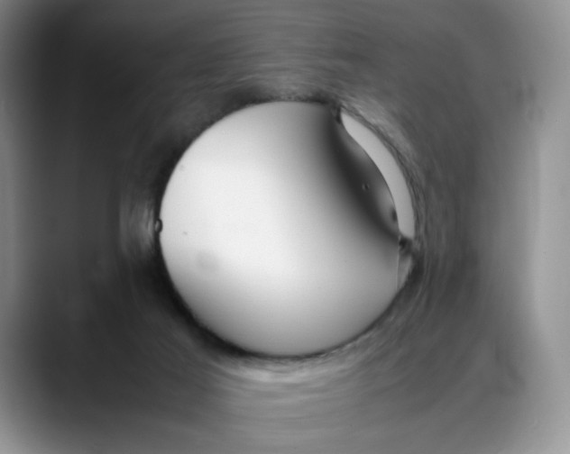 X0000088420021200706121441
