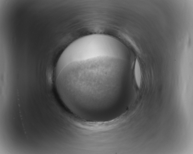 X0000088420023200706121441
