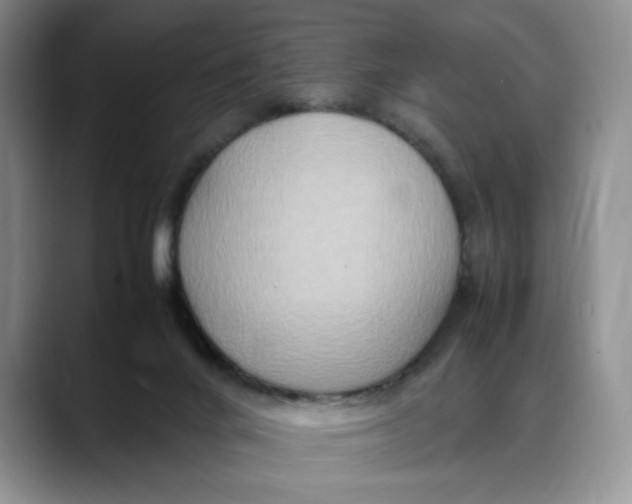 X0000088420024200706121441