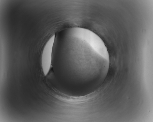 X0000088420027200706121441