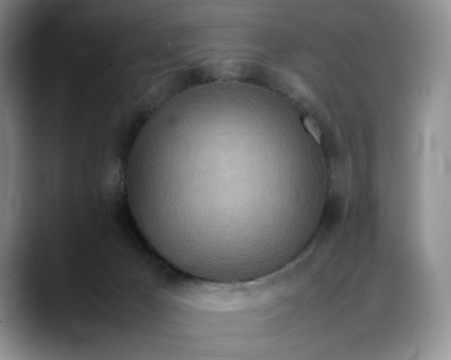 X0000088420029200706121441
