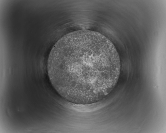 X0000088420030200706121441