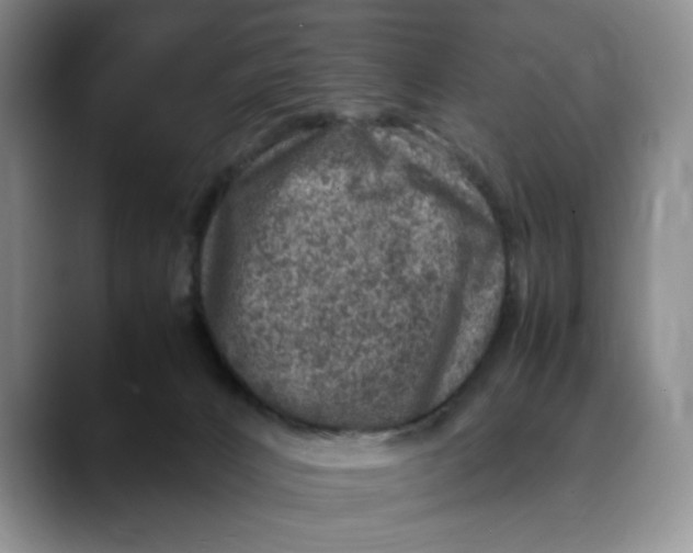 X0000088420032200706121440