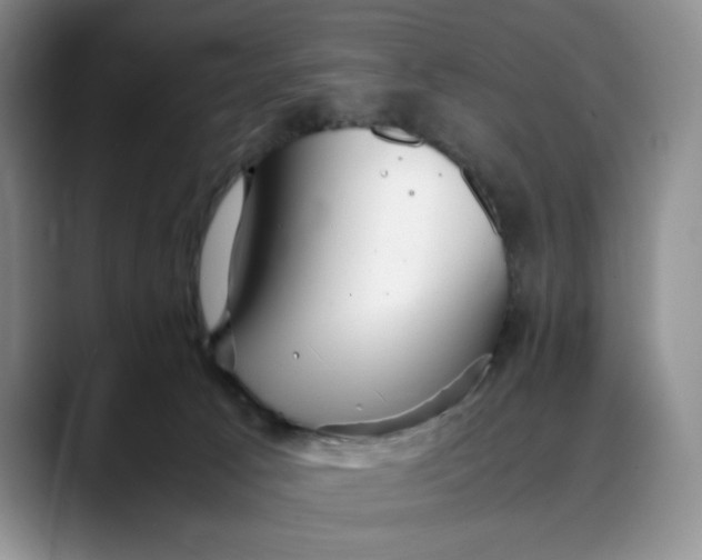 X0000088420033200706121440