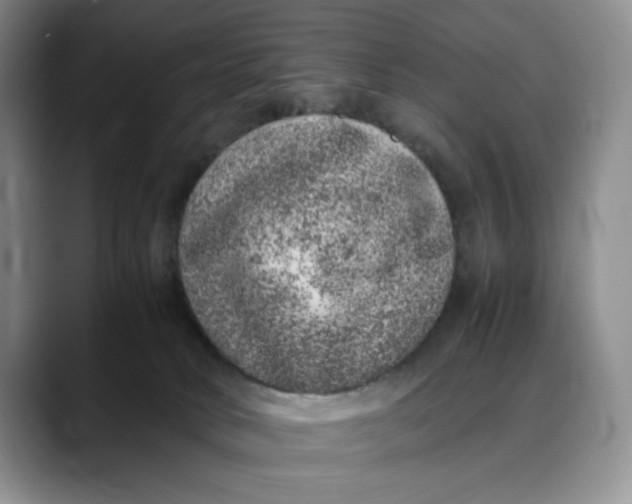 X0000088420034200706121440