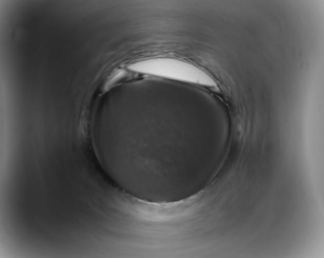 X0000088420035200706121440