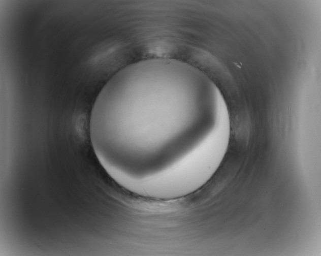 X0000088420036200706121440