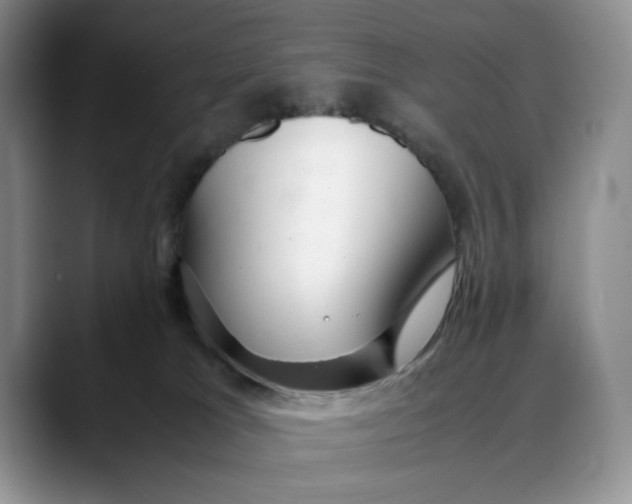 X0000088420037200706121440