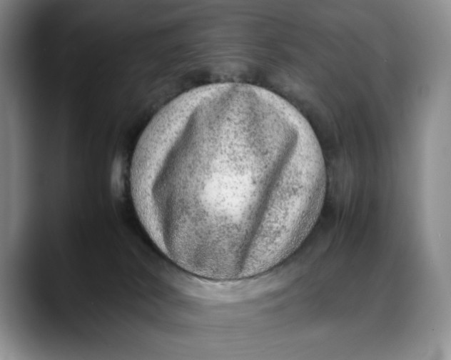 X0000088420038200706121440