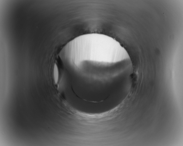 X0000088420039200706121440