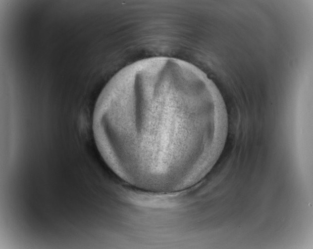 X0000088420040200706121440