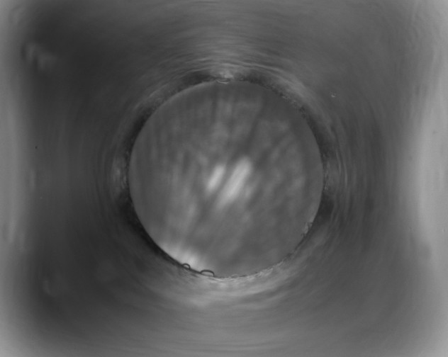X0000088420043200706121440