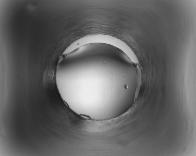 X0000088420045200706121440