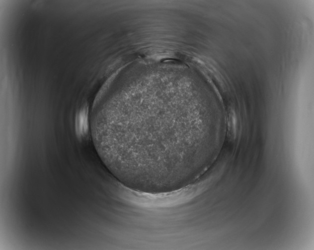 X0000088420046200706121440