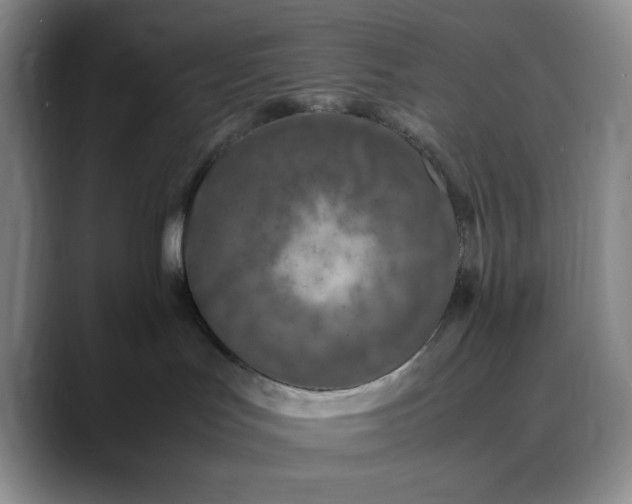 X0000088420047200706121440