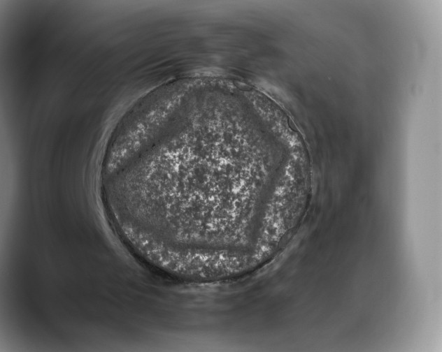 X0000088420049200706121440