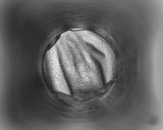 X0000088420051200706121440