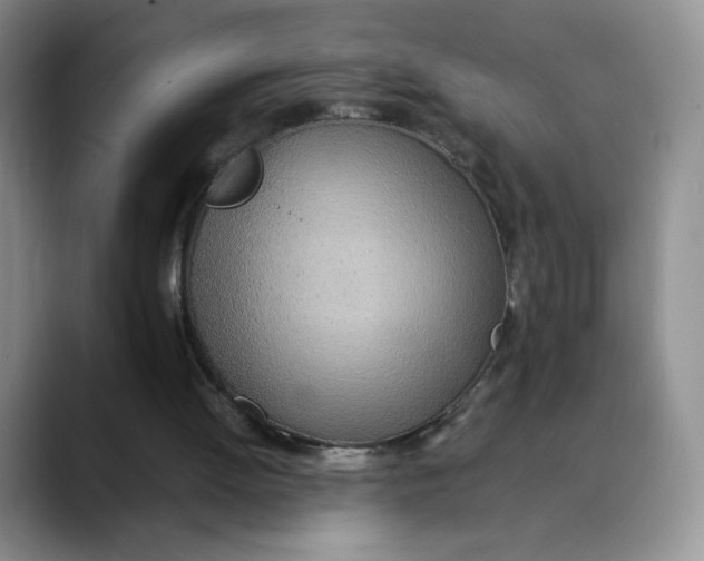 X0000088420052200706121440