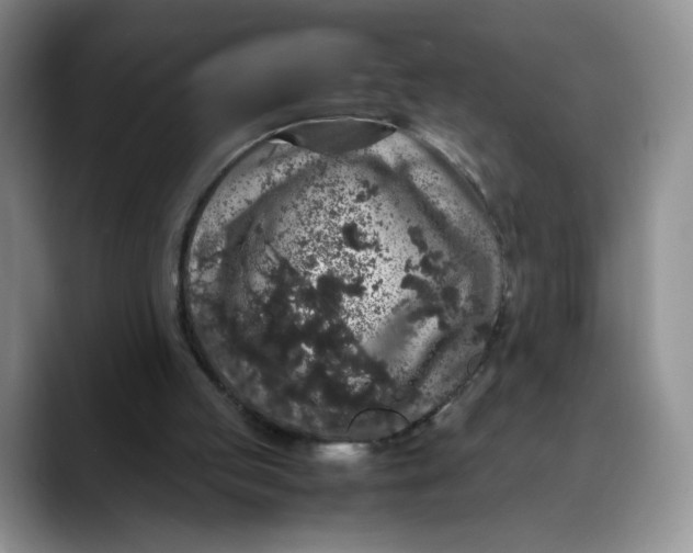 X0000088420053200706121440