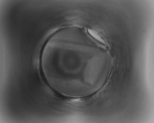 X0000088420054200706121440