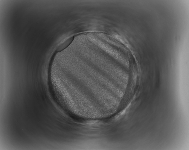 X0000088420055200706121440