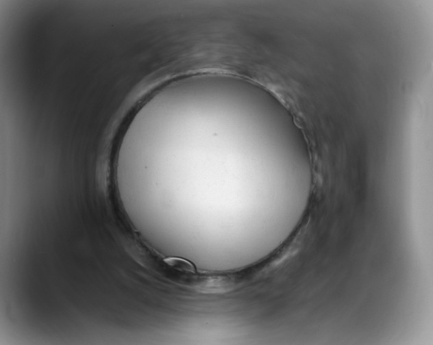 X0000088420056200706121440