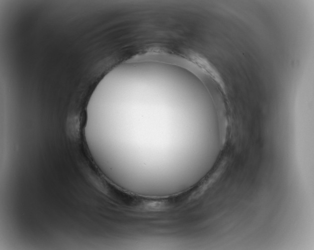 X0000088420057200706121440