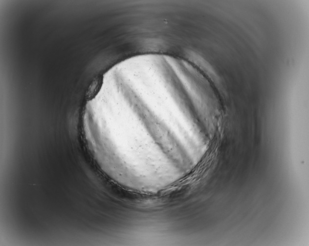 X0000088420058200706121440