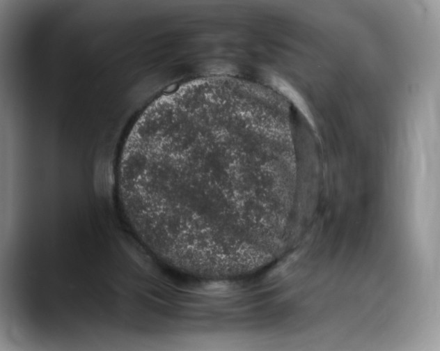 X0000088420059200706121440