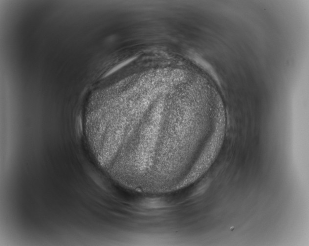 X0000088420061200706121440