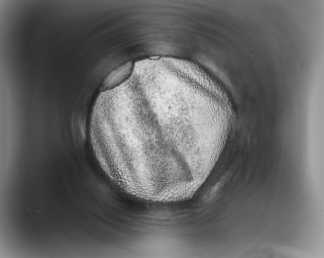 X0000088420062200706121440