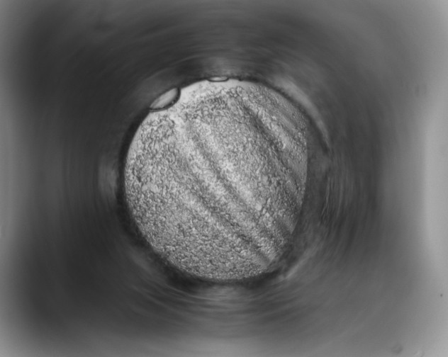 X0000088420063200706121440